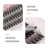 Russian Strip Eyelashes Extension Fernglow