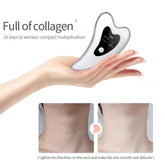 Fernglow Facial Toning Wand Fernglow